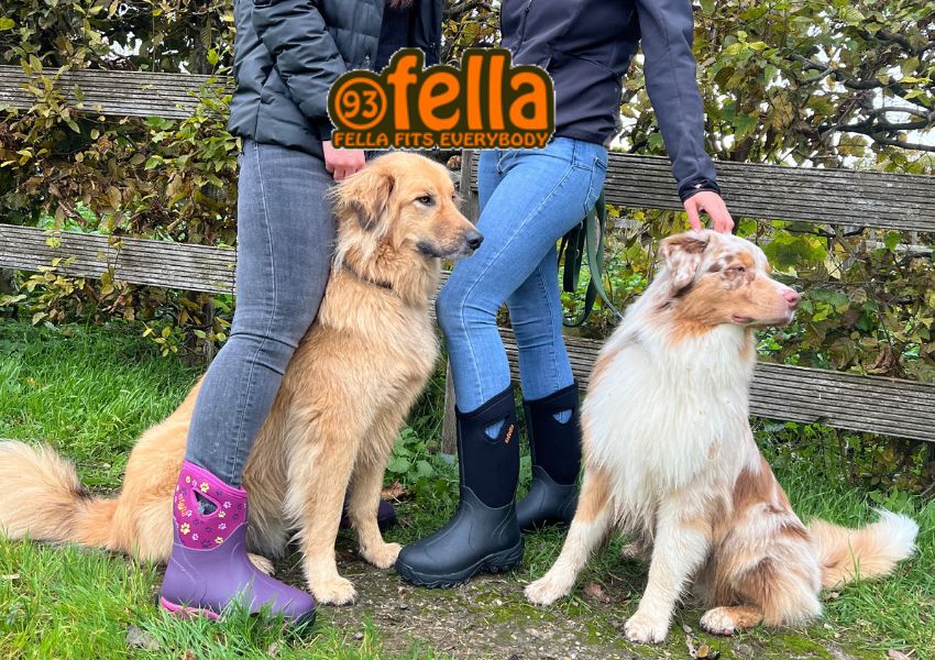 Zwei Damen mit Hund und bunten Gummistiefeln von Fella im Wald